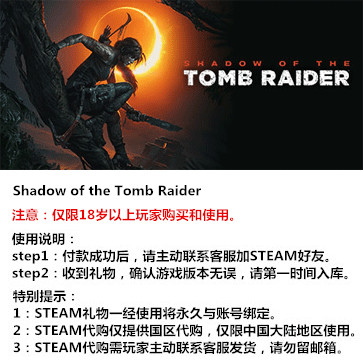 古墓丽影：暗影